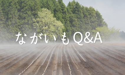 ながいもQ&A