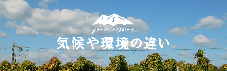 気候や環境の違い