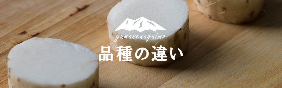 品種の違い
