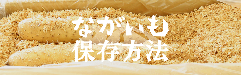 長芋の保存方法