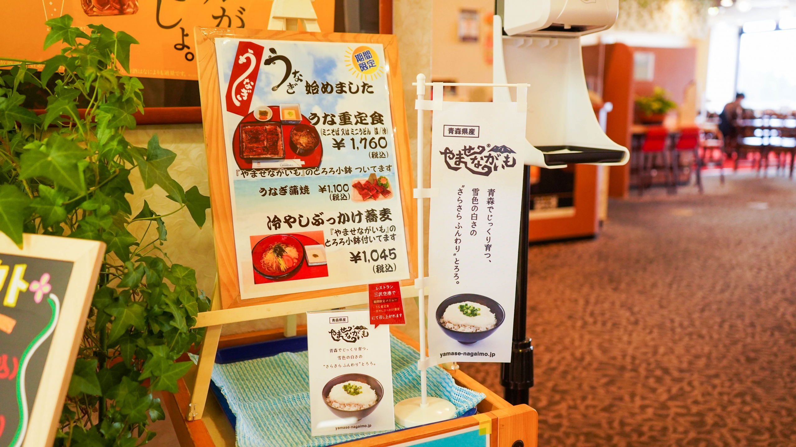 レストラン三沢空港にて、やませながいものメニューが登場しました!